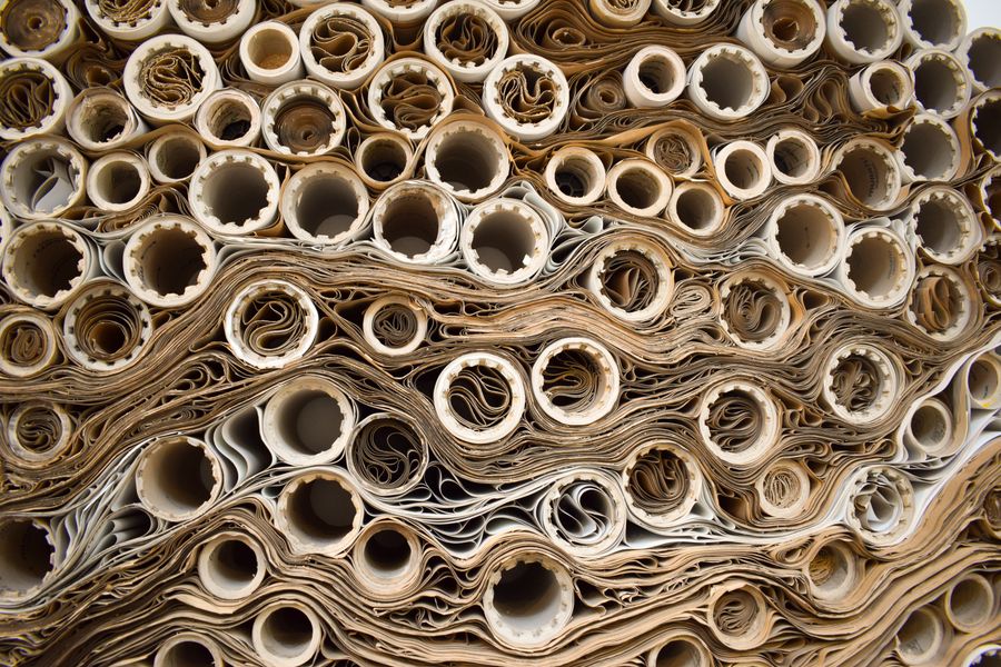 Papel & Celulose